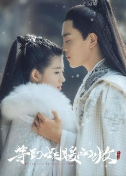 Chờ Tới Khi Khói Mưa Ấm Áp Chờ Tới Khi Khói Mưa Ấm Áp