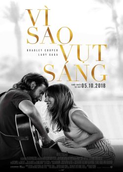 Vì Sao Vụt Sáng Vì Sao Vụt Sáng