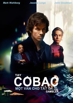 Tay Cờ Bạc Tay Cờ Bạc