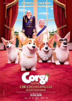 Corgi Những Chú Chó Hoàng Gia Corgi Những Chú Chó Hoàng Gia