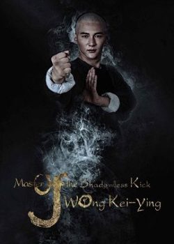 Cao Thủ Vô Ảnh Cước: Hoàng Kỳ Anh Cao Thủ Vô Ảnh Cước: Hoàng Kỳ Anh