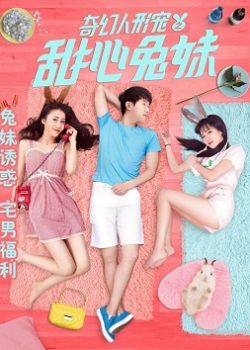 Sáu Nàng Thỏ Xinh Đẹp Sáu Nàng Thỏ Xinh Đẹp