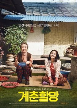 Hoa Cải Vàng Hoa Cải Vàng