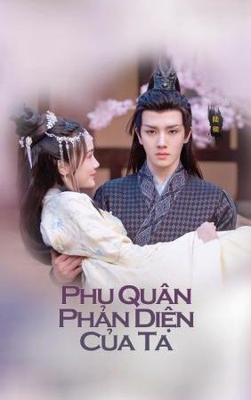 Phu Quân Phản Diện Của Ta