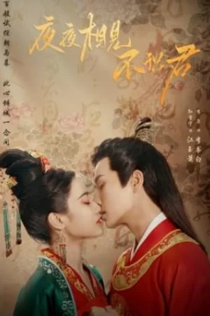 Dạ Dạ Tương Kiến Bất Thức Quân
