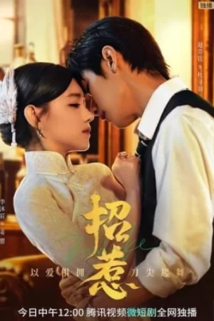 Trêu Chọc Chiêu Nhã Trêu Chọc Chiêu Nhã